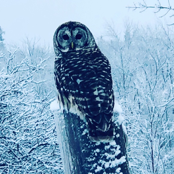 Meet your Posher, John - Picture 1 of 1